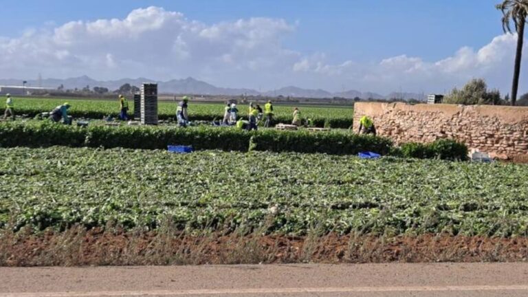Campo de Cartagena impulsa agricultura sostenible ante escasez de recursos hídricos