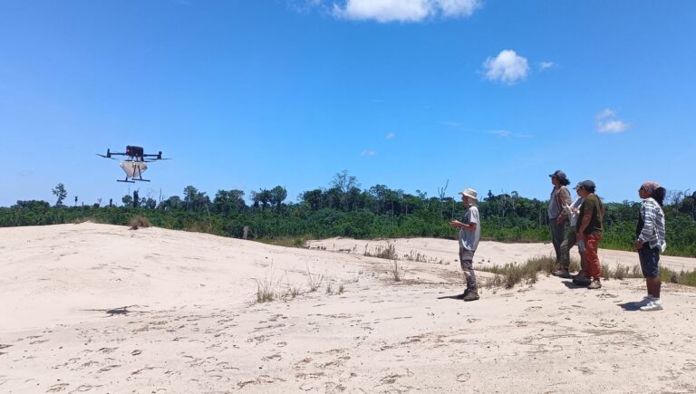 Nueva tecnología de drones busca revolucionar la reforestación de la Amazonia Nueva tecnología de drones busca revolucionar la reforestación de la Amazonia