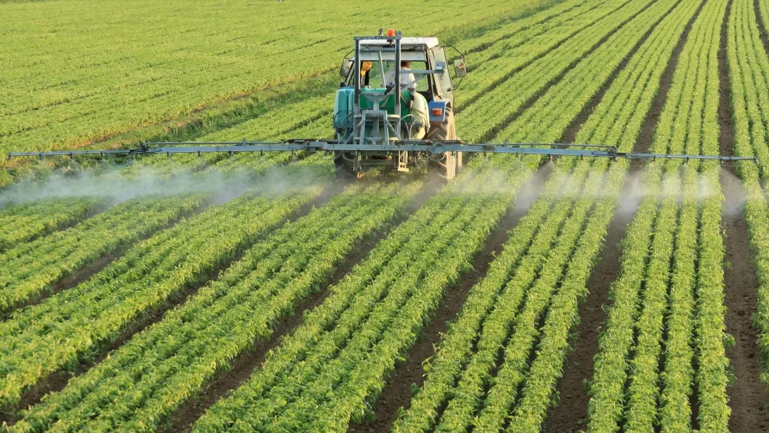 Fondos de inversión apuestan por el sector agroalimentario español con operaciones millonarias Fondos de inversión apuestan por el sector agroalimentario español con operaciones millonarias