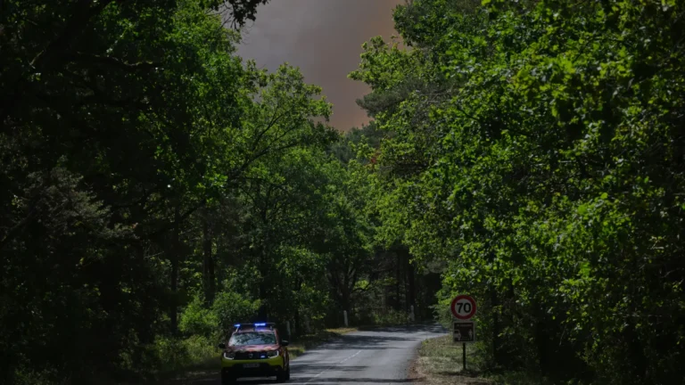 Incendio forestal arrasa 800 hectáreas del bosque de Fontainebleau en Francia Incendio forestal arrasa 800 hectáreas del bosque de Fontainebleau en Francia