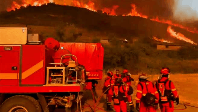 Incendio en la comarca de las Cinco Villas arrasa más de 12 mil hectáreas y obliga a evacuar a 700 personas Incendio en la comarca de las Cinco Villas arrasa más de 12 mil hectáreas y obliga a evacuar a 700 personas