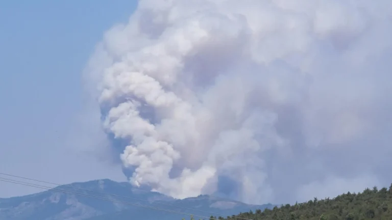 Incendio de La Mierla en Guadalajara alcanza 32 mil hectáreas y se convierte en el segundo más grave de la historia de España Incendio de La Mierla en Guadalajara alcanza 32 mil hectáreas y se convierte en el segundo más grave de la historia de España
