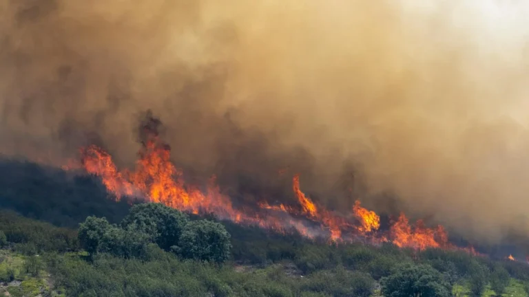 Nueve incendios activos en Castilla y León, 5 de nivel máximo Nueve incendios activos en Castilla y León, 5 de nivel máximo