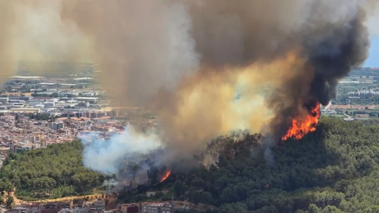 Medio centenar de efectivos mantienen vigilancia sobre 7,000 hectáreas arrasadas por incendio en Almería Medio centenar de efectivos mantienen vigilancia sobre 7,000 hectáreas arrasadas por incendio en Almería