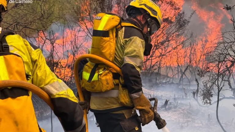 Ola de calor extrema aviva incendios forestales en España con focos críticos en Cataluña y León Ola de calor extrema aviva incendios forestales en España con focos críticos en Cataluña y León