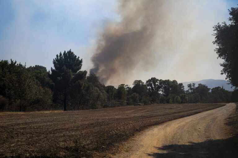 Bombers levanta confinamiento y permite regreso de evacuados tras incendio en La Bisbal, Girona Bombers levanta confinamiento y permite regreso de evacuados tras incendio en La Bisbal, Girona