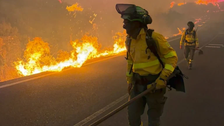 Incendios forestales en España reviven debate sobre cambio climático y falta de prevención estatal Incendios forestales en España reviven debate sobre cambio climático y falta de prevención estatal