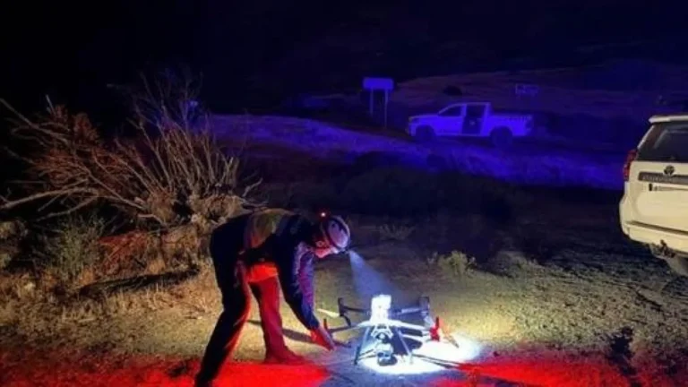 El CSIC activa asesoramiento científico en incendios forestales con modelos de simulación y análisis satelital El CSIC activa asesoramiento científico en incendios forestales con modelos de simulación y análisis satelital