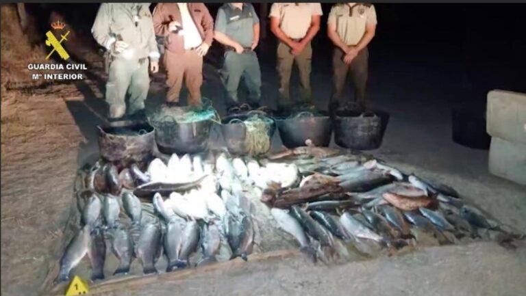 Investigan a cuatro personas por pesca ilegal en Doñana con 500 kilos de captura intervenidos