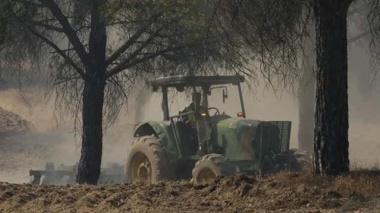 España registra 15.842 hectáreas agrícolas dañadas por incendios, la segunda cifra más alta en una década España registra 15.842 hectáreas agrícolas dañadas por incendios, la segunda cifra más alta en una década