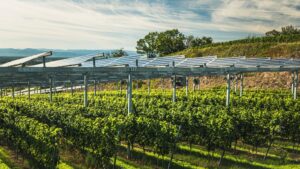 Eurecat participa en proyecto que combina energía solar y agricultura en cultivos frutales Eurecat participa en proyecto que combina energía solar y agricultura en cultivos frutales