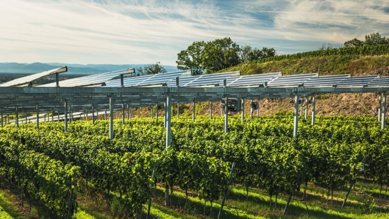 Eurecat participa en proyecto que combina energía solar y agricultura en cultivos frutales Eurecat participa en proyecto que combina energía solar y agricultura en cultivos frutales