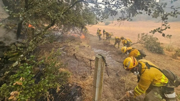 Gobierno español destinó 130 millones a gestión forestal y aumentó 30% presupuesto contra incendios Gobierno español destinó 130 millones a gestión forestal y aumentó 30% presupuesto contra incendios