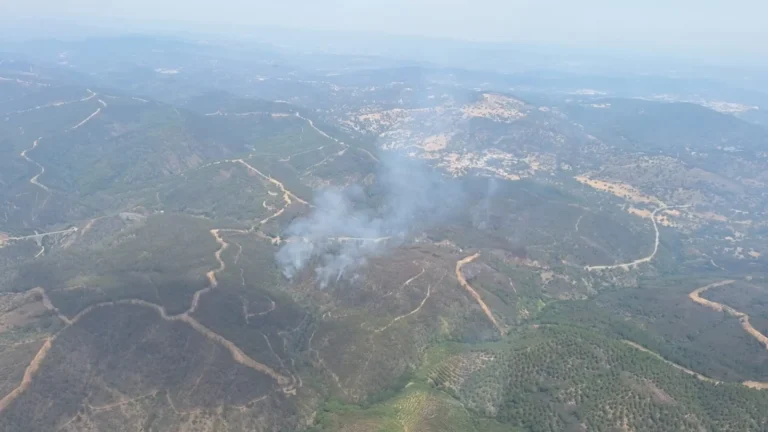 El Gobierno retomará en otoño el Pacto de Estado antiincendios y espera apoyo del PP tras declaraciones de Feijóo El Gobierno retomará en otoño el Pacto de Estado antiincendios y espera apoyo del PP tras declaraciones de Feijóo