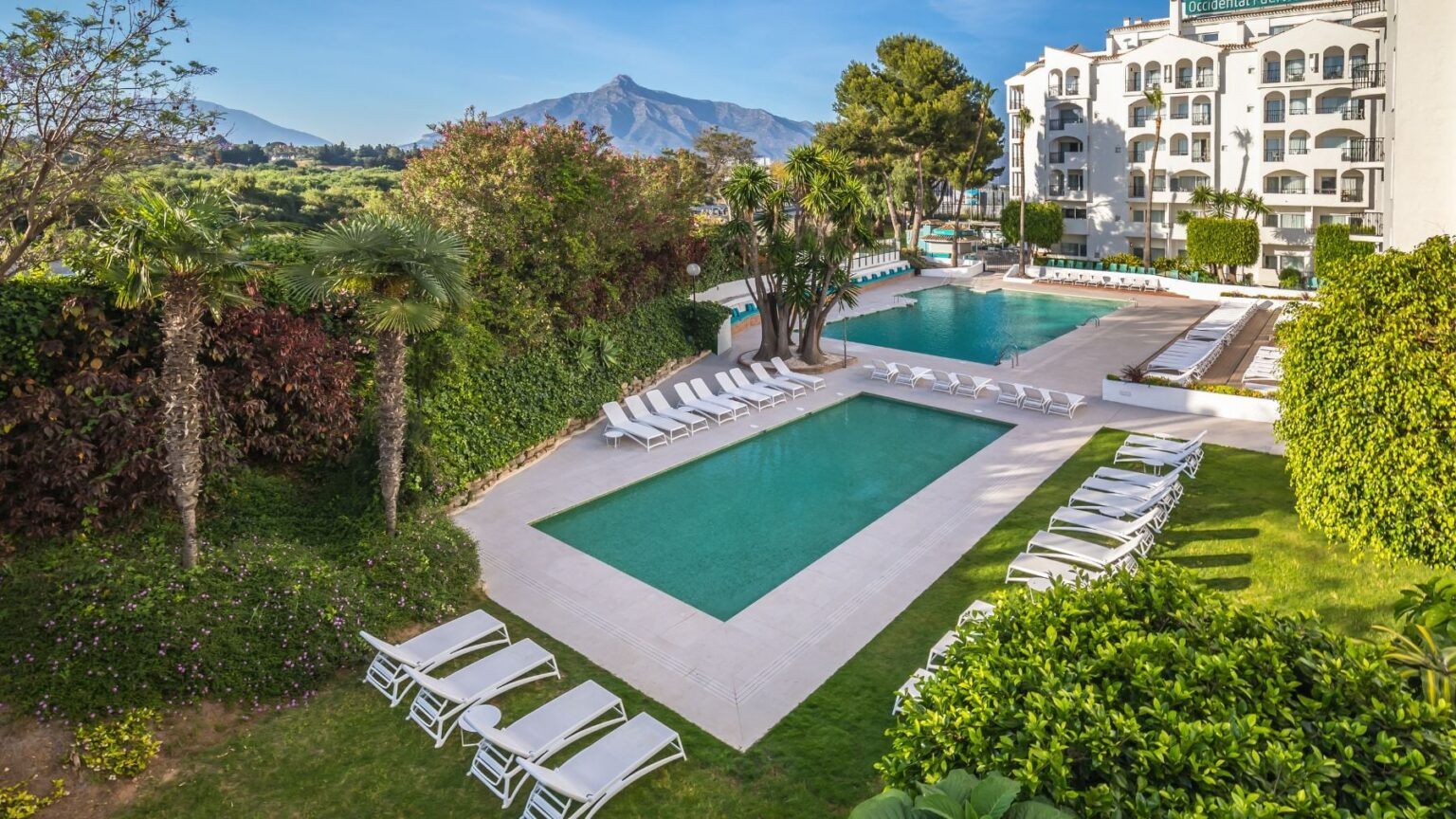 Hotel en Marbella inaugura exposición temporal de artista malagueña con más de veinte obras originales Hotel en Marbella inaugura exposición temporal de artista malagueña con más de veinte obras originales