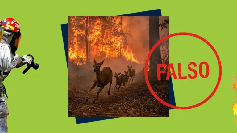 Imagen viral de familia de ciervos huyendo de incendios fue creada con inteligencia artificial Imagen viral de familia de ciervos huyendo de incendios fue creada con inteligencia artificial