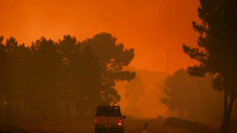 Incendio forestal en el norte de Portugal deja cinco heridos y afecta 21 viviendas