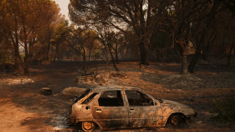 España enfrenta devastadora temporada de incendios con casi 174 mil hectáreas arrasadas en siete meses España enfrenta devastadora temporada de incendios con casi 174 mil hectáreas arrasadas en siete meses