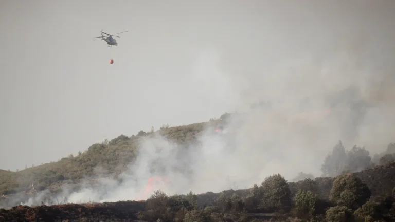 Viento complica combate al incendio de Villafranca del Bierzo mientras mejora situación en Castellón Viento complica combate al incendio de Villafranca del Bierzo mientras mejora situación en Castellón