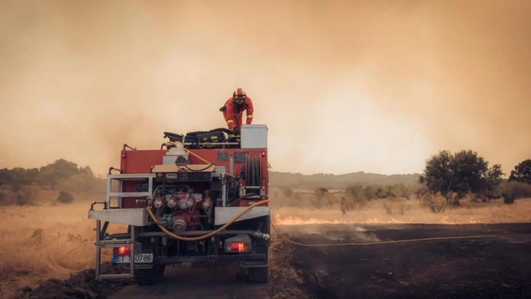 Incendios forestales en España superan las 130 mil personas afectadas con múltiples focos activos Incendios forestales en España superan las 130 mil personas afectadas con múltiples focos activos