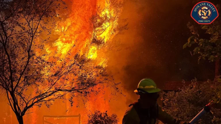 Más de 65,000 evacuados por incendios en Estados Unidos Más de 65,000 evacuados por incendios en Estados Unidos