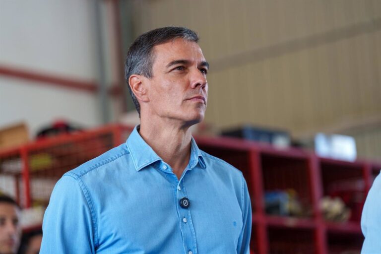 Pedro Sánchez se desplaza a Cenicientos para seguir la evolución de los incendios forestales en Madrid Pedro Sánchez se desplaza a Cenicientos para seguir la evolución de los incendios forestales en Madrid