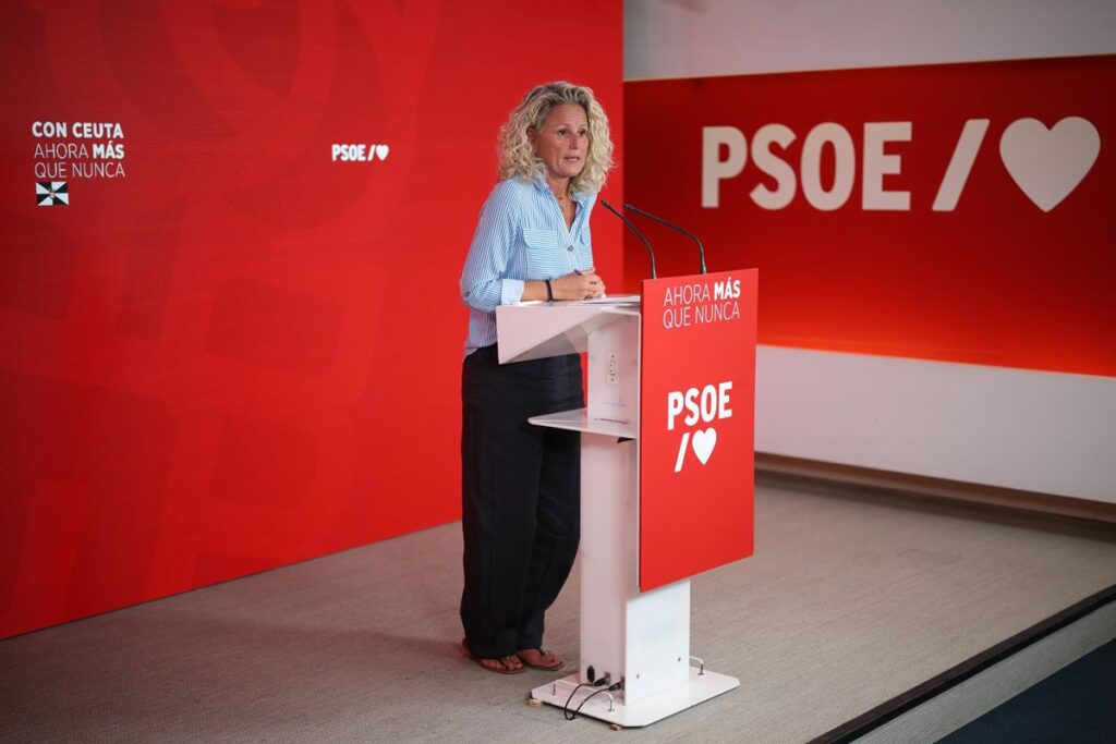 El PSOE niega financiación irregular ante investigaciones judiciales sobre sus cuentas El PSOE niega financiación irregular ante investigaciones judiciales sobre sus cuentas