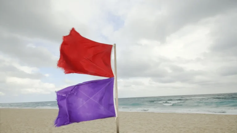 Qué significa la bandera morada en la playa y por qué debes evitar meterte al agua Qué significa la bandera morada en la playa y por qué debes evitar meterte al agua