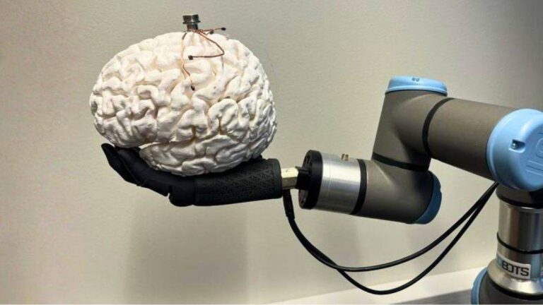 Una misma tecnología cerebral podría restaurar la visión y el tacto en pacientes con enfermedades incurables Una misma tecnología cerebral podría restaurar la visión y el tacto en pacientes con enfermedades incurables