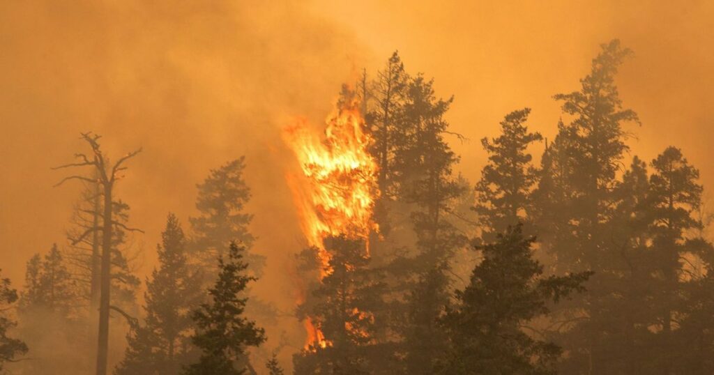 Universidad de León desarrolla aplicación con inteligencia artificial para predecir incendios forestales de copa Universidad de León desarrolla aplicación con inteligencia artificial para predecir incendios forestales de copa