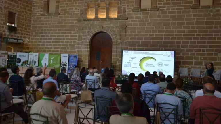 Úbeda acogerá la VI Jornada Virgen Extra con especialistas en salud y gastronomía el 18 de septiembre Úbeda acogerá la VI Jornada Virgen Extra con especialistas en salud y gastronomía el 18 de septiembre