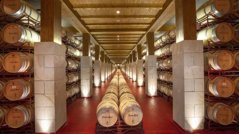 Vintae toma el control de Bodegas Riojanas con una inversión de 12 millones de euros Vintae toma el control de Bodegas Riojanas con una inversión de 12 millones de euros
