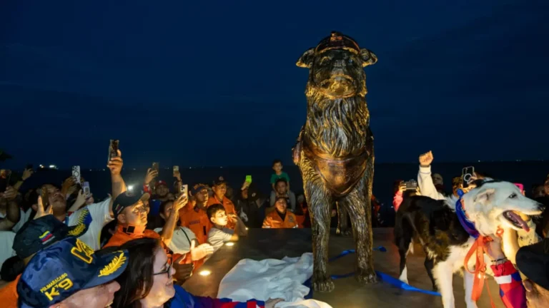 Maracaibo inaugura estatua en honor a Tsunami, el perro rescatista que participó en terremotos internacionales